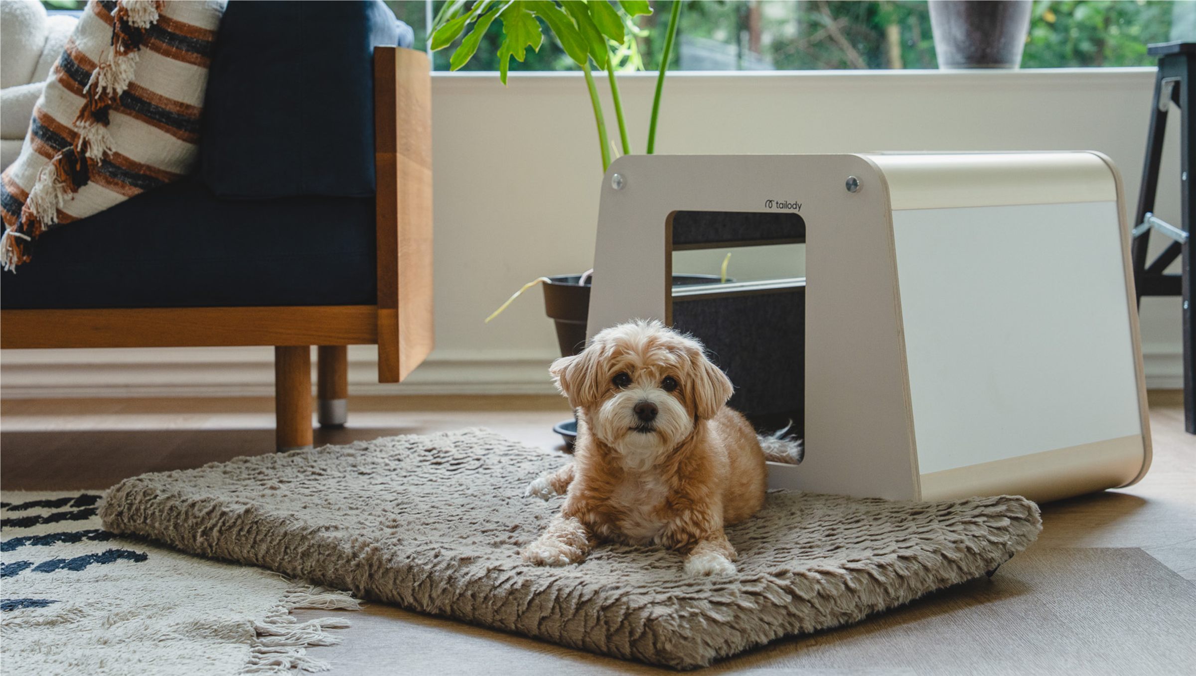 A dog resting on a cushion in front of the Tailody Mute Compact